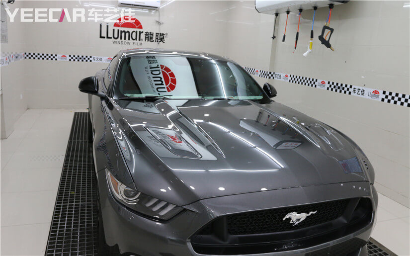 野马龙膜效果图