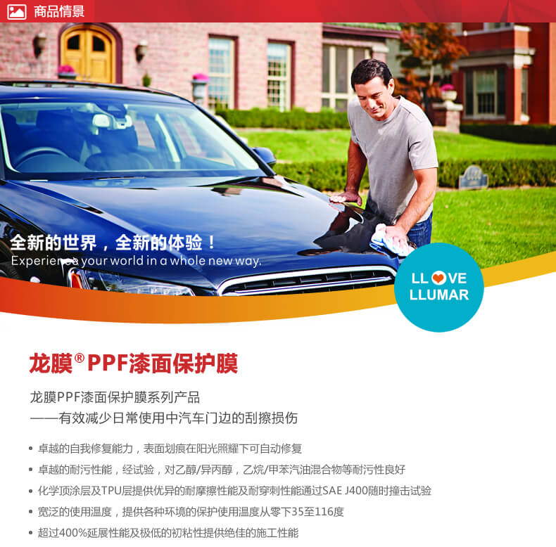 龙膜全新的世界