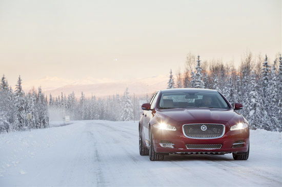 捷豹无可复制的生命力